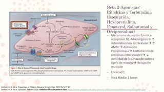 Beta 2-Agonistas:
Ritodrina y Terbutalina
(Isoxuprida,
Hexoprenalina,
Fenoterol, Salbutamol y
Orciprenalina)
– Mecanismo de acción: Unión a
receptores B2-Adrenérgicos ↑
Adenilatociclasa intracelular ↑
AMPc  Activación
Proteincinasa Fosforilación de
proteínas intracelulares ↓
Actividad de la Cinasa de cadena
ligera de miosina Relajación
muscular
– Eficacia(?)
– Vida Media: 2 horas
Simhan, H. N. Et al. Prevention of Preterm Delivery. N Engl J Med 2007;357:477-87
Simhan, H. N. Et al. UpToDate. Febrero 2020. Inhibition of acute preterm labor. https://www-uptodate-com.pbidi.unam.mx:2443/contents/inhibition-of-acute-preterm-labor
 