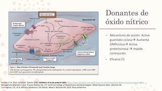Donantes de
óxido nítrico
– Mecanismo de acción: Activa
guanilato ciclasa Aumenta
GMPciclico Activa
proteíncinasa  impide
contracción
– Eficacia (?)
Simhan, H. N. Et al. UpToDate. Febrero 2020. Inhibition of acute preterm labor. https://www-uptodate-com.pbidi.unam.mx:2443/contents/inhibition-of-acute-preterm-labor
Management of preterm labor. Practice Bulletin No. 171. American College of Obstetricians and Gynecologists. Obstet Gynecol 2016; 128:e155–64.
Cunningham, F.G., et al. Williams Obstetricia. 25ª Edición. México: McGraw Hill; 2019. Parto pretérmino
 