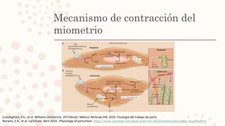 Mecanismo de contracción del
miometrio
Cunningham, F.G., et al. Williams Obstetricia. 25ª Edición. México: McGraw Hill; 2019. Fisiología del trabajo de parto
Norwitz, E.R., et al. UpToDate. Abril 2019 . Physiology of parturition. https://www-uptodate-com.pbidi.unam.mx:2443/contents/physiology-of-parturition
 