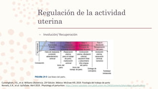Regulación de la actividad
uterina
– Involución/ Recuperación
Cunningham, F.G., et al. Williams Obstetricia. 25ª Edición. México: McGraw Hill; 2019. Fisiología del trabajo de parto
Norwitz, E.R., et al. UpToDate. Abril 2019 . Physiology of parturition. https://www-uptodate-com.pbidi.unam.mx:2443/contents/physiology-of-parturition
 