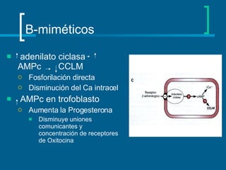 B-miméticos adenilato ciclasa  AMPc  CCLM Fosforilación directa Disminución del Ca intracel AMPc en trofoblasto Aumenta la Progesterona Disminuye uniones comunicantes y concentración de receptores de Oxitocina 