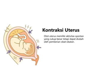 Otot uterus memiliki aktivitas spontan
yang cukup besar tetapi dapat diubah
oleh pemberian obat-obatan.
Kontraksi Uterus
 