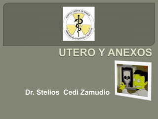 Dr. Stelios Cedi Zamudio

 