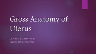 Gross Anatomy of
Uterus
DR. VIBHASH KUMAR VAIDYA
DEPARTMENT OF ANATOMY
 