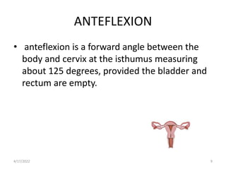 Uterus Anatomy.pptx