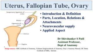 Female Reproductive System - Uterus, Fallopian Tube, Ovary | PDF
