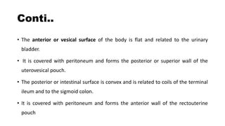 UTERUS_Nursing.pptx
