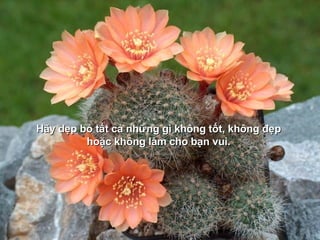 Hãy dẹp bỏ tất cả những gì không tốt, không đẹp  hoặc không làm cho bạn vui.   