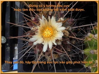 Đừng có ý tưởng tiêu cực  hoặc làm điều bạn không thể kiểm soát được.  Thay vào đó, hãy tập trung sức lực vào giây phút hiện tại. 