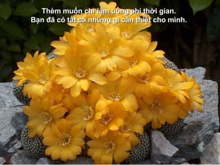 Thèm muốn chỉ làm uổng   phí thời gian.  Bạn đã có tất cả những gì cần thiết cho mình.   