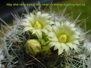 Hãy nhớ rằng bạn là duy nhất và không ai giống bạn cả. 