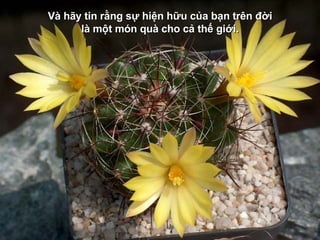 V à hãy tin rằng sự hiện hữu của bạn trên đời là một món quà cho cả thế giới. 