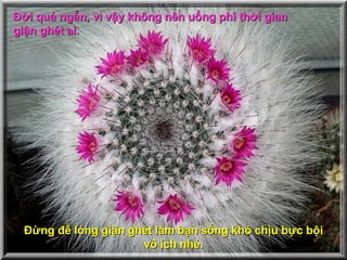 Đời quá ngắn, vì vậy không nên uổng phí thời gian  giận ghét ai.   Đừng để lòng giận ghét làm bạn sống khó chịu bực bội vô ích nhé. 