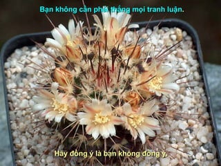 Bạn không cần phải thắng mọi tranh luận .  Hãy đồng ý là bạn không đồng ý. 