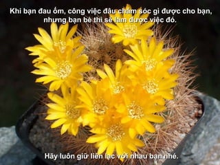 Khi bạn đau ốm, công việc đâu chăm sóc gì được cho bạn, nhưng bạn bè thì sẽ làm được việc đó.   Hãy luôn giữ liên lạc với nhau bạn   nhé. 