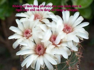 Kh ông gì làm lãng phí sức lực của mình hơn là  ngồi một chỗ và lo lắng về hàng tá chuyện. 