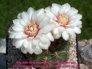 Hãy biết rằng nếu bạn có  hàng tá câu hỏi,  thì trong chính bạn cũng có hàng tá câu trả lời. 