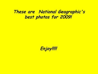 These are  National Geographic's best photos for 2009!  Enjoy!!!!!   