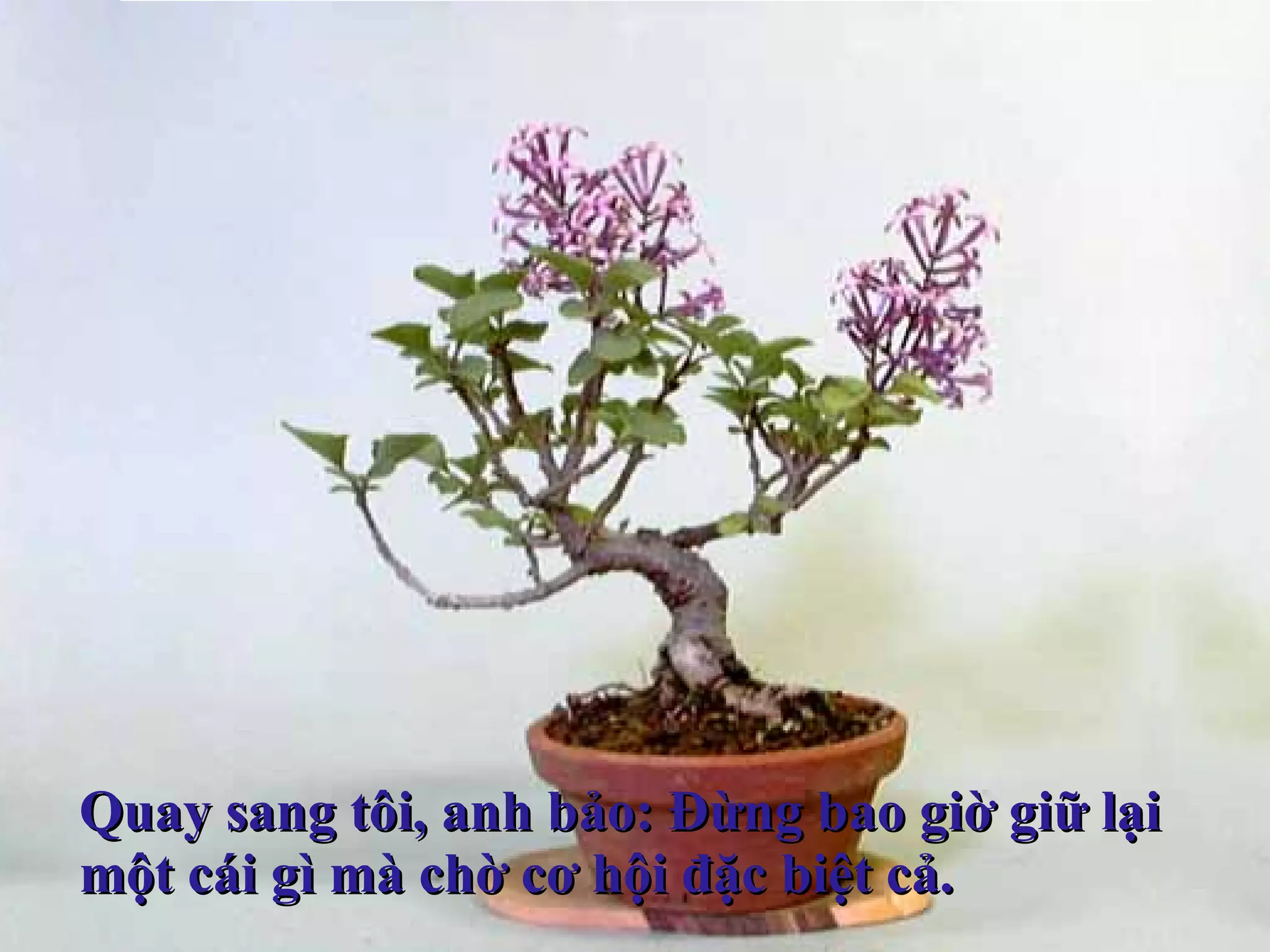 Quay sang tôi, anh bảo: Đừng bao giờ giữ lại  một cái gì mà chờ cơ hội đặc biệt cả. 