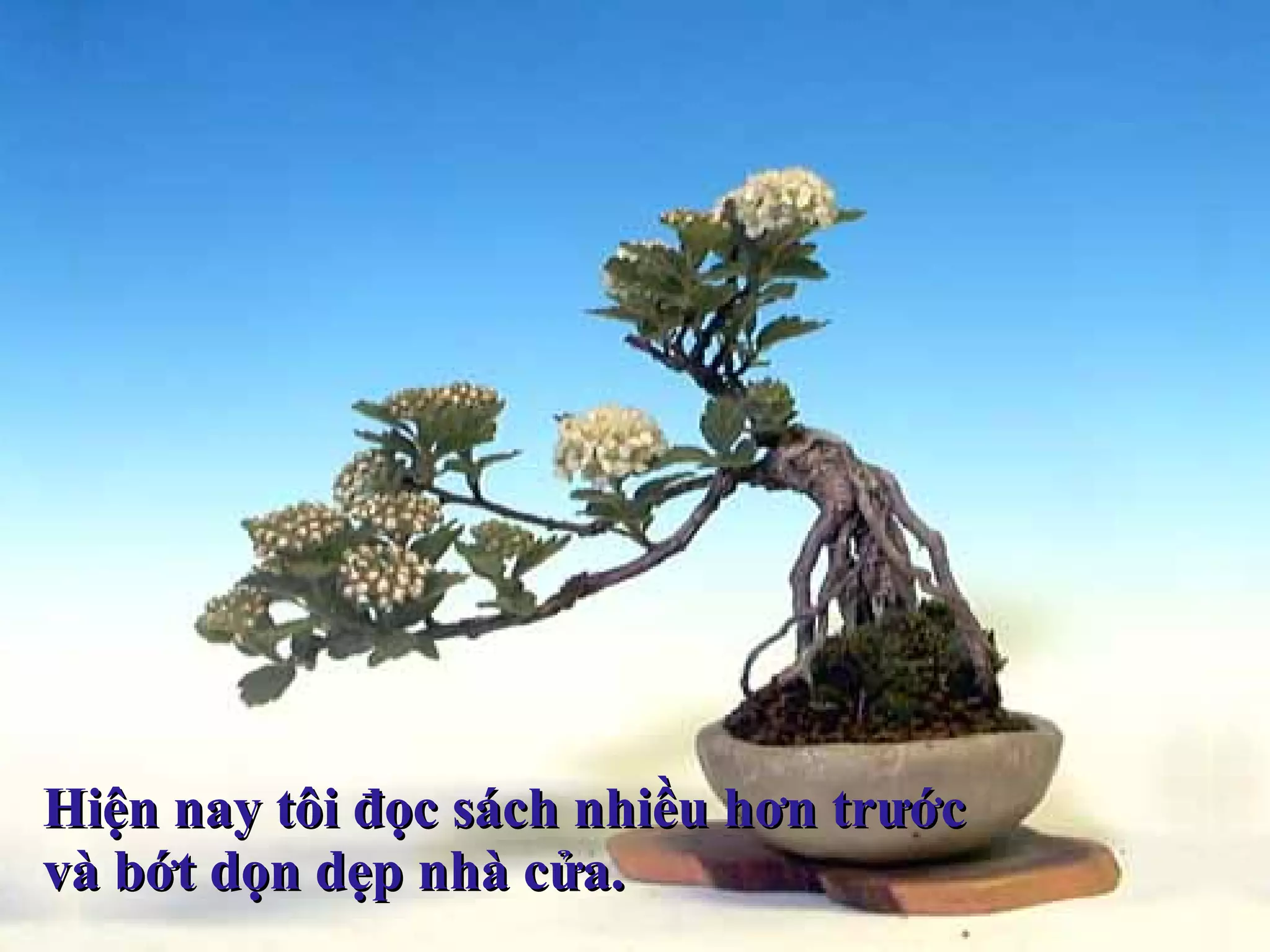 Hiện nay tôi đọc sách nhiều hơn trước  và bớt dọn dẹp nhà cửa. 