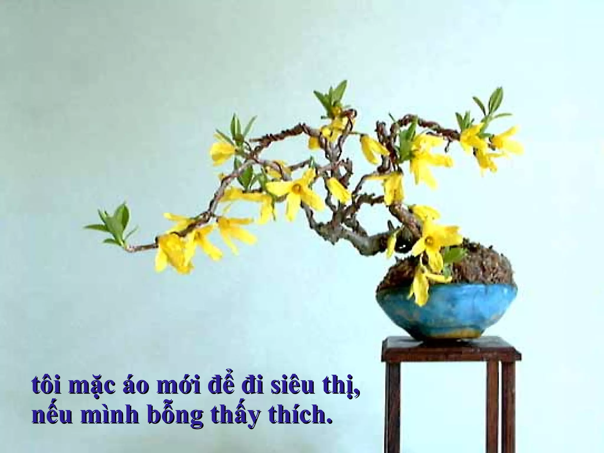 tôi mặc áo mới để đi siêu thị,  nếu mình bỗng thấy thích. 