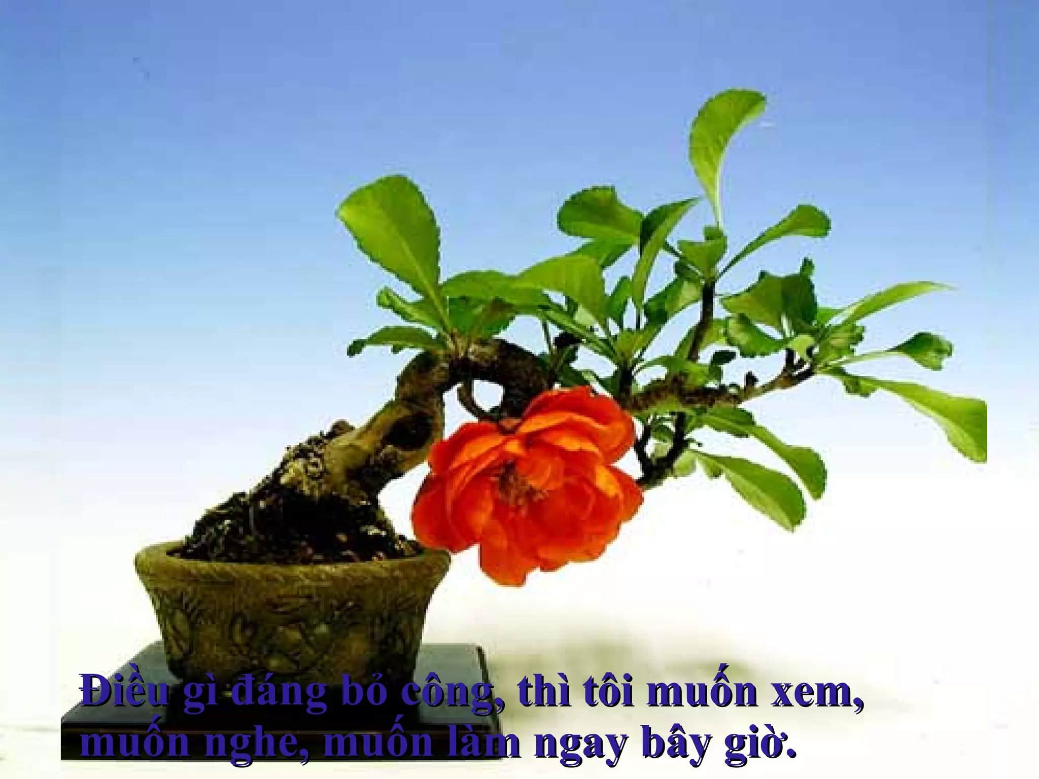 Điều gì đáng bỏ công, thì tôi muốn xem,  muốn nghe, muốn làm ngay bây giờ.   