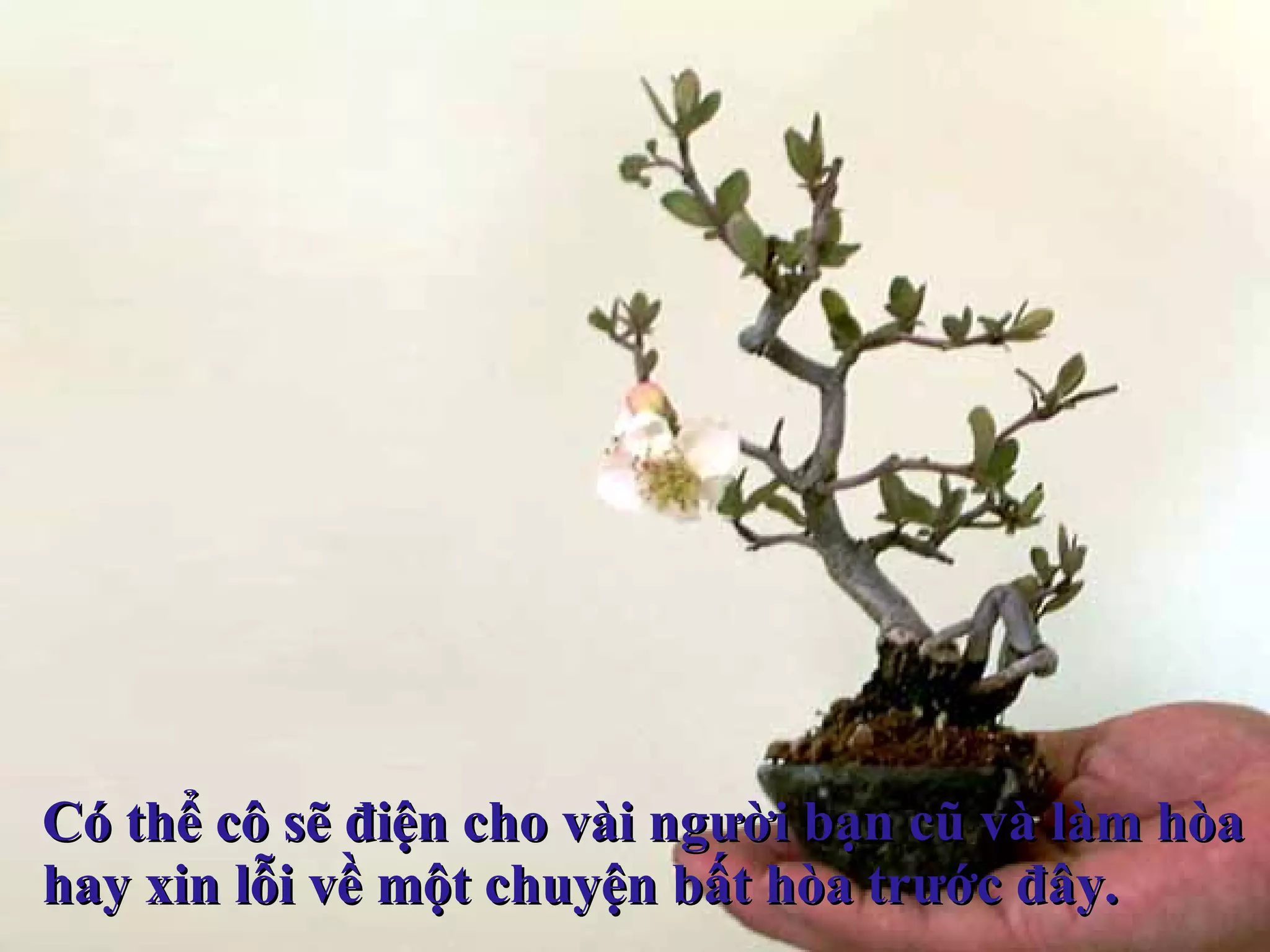 Có thể cô sẽ điện cho vài người bạn cũ và làm hòa  hay xin lỗi về một chuyện bất hòa trước đây.  