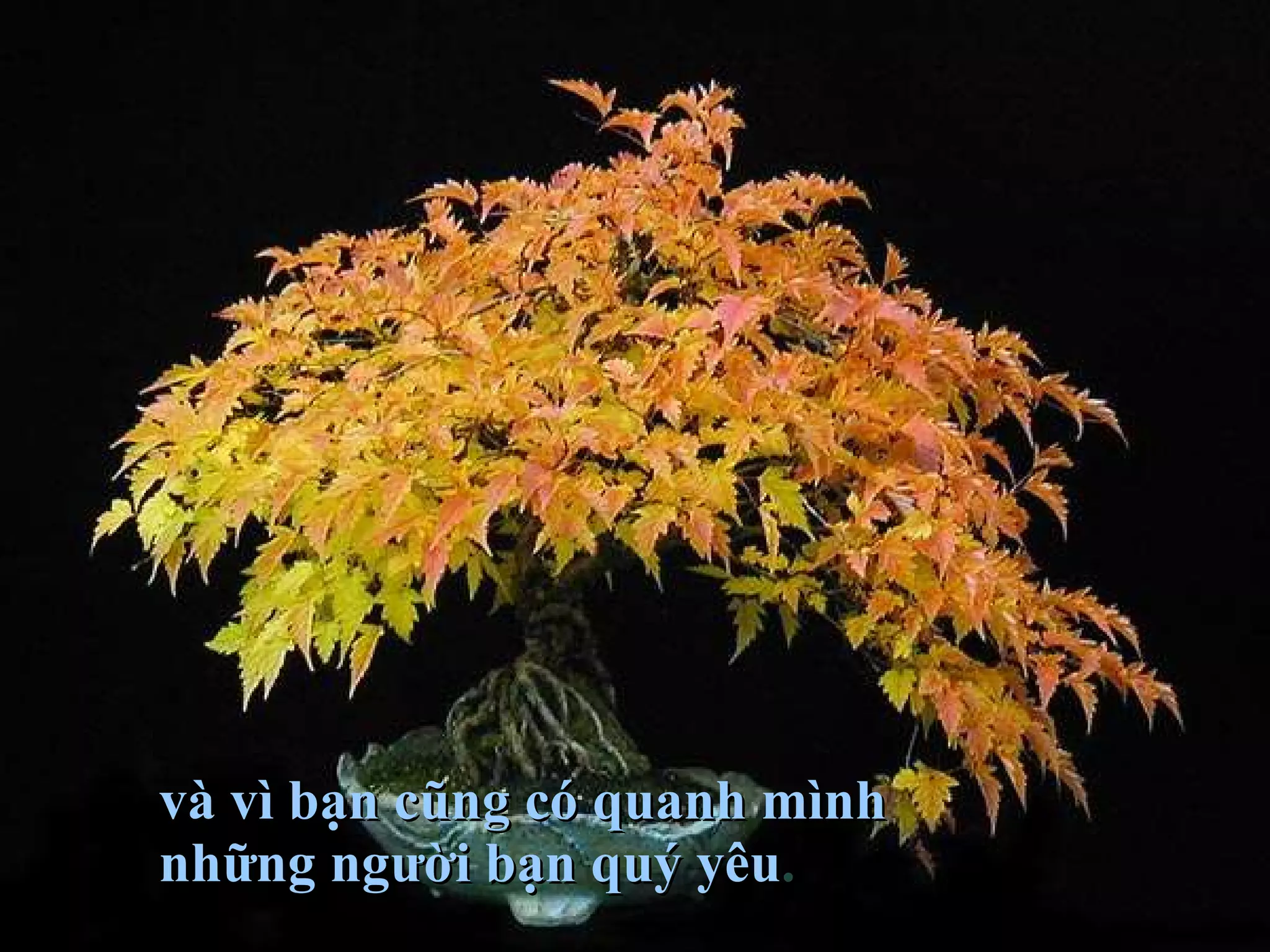 và vì bạn cũng có quanh mình  những người bạn quý yêu . 