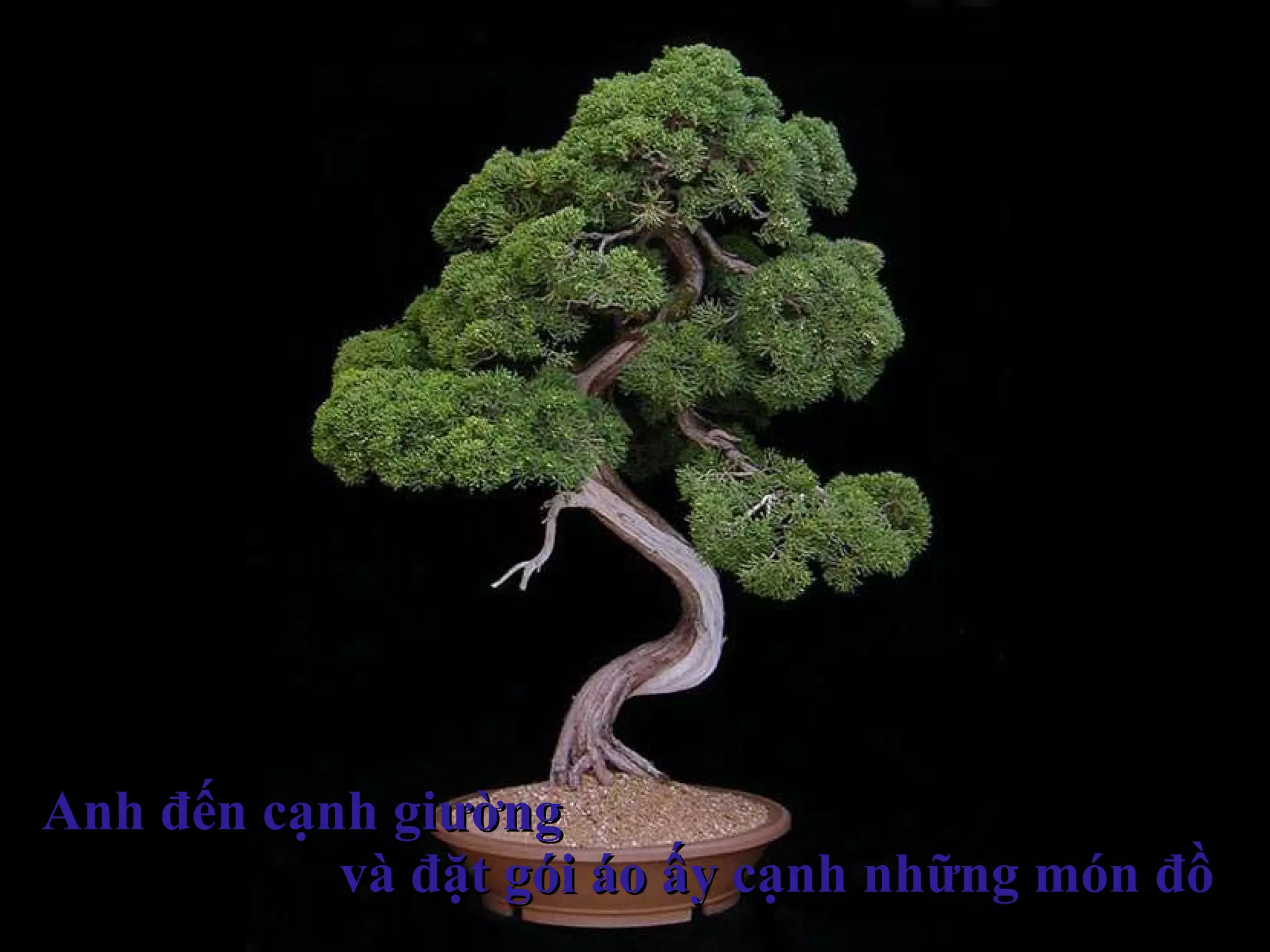 Anh đến cạnh giường  và đặt gói áo ấy cạnh những món đồ 