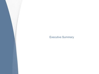 Executive Summary
 
