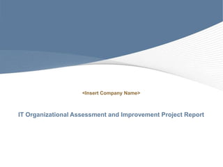 <Insert Company Name>



IT Organizational Assessment and Improvement Project Report
 