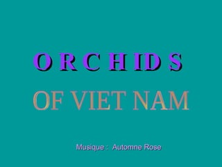 O R C H ID S


   Musique : Automne Rose
 