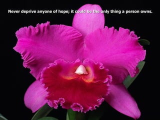 Never deprive anyone of hope; it could be the only thing a person owns.
 