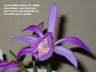 Immortality exists, it’s called
knowledge. Ask what you
don’t know and remember it
for when you’re asked.
 