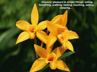 Discover pleasure in simple things: eating,
breathing, walking, tasting, touching, seeing,
                sleeping…
 
