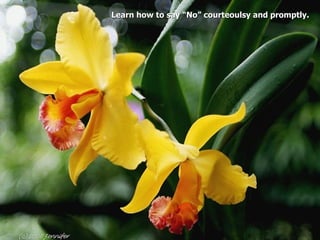 Learn how to say “No” courteoulsy and promptly.
                                      promptly
 