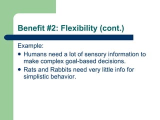 Benefit #2: Flexibility (cont.) Example: Humans need a lot of sensory information to make complex goal-based decisions. Rats and Rabbits need very little info for simplistic behavior. 