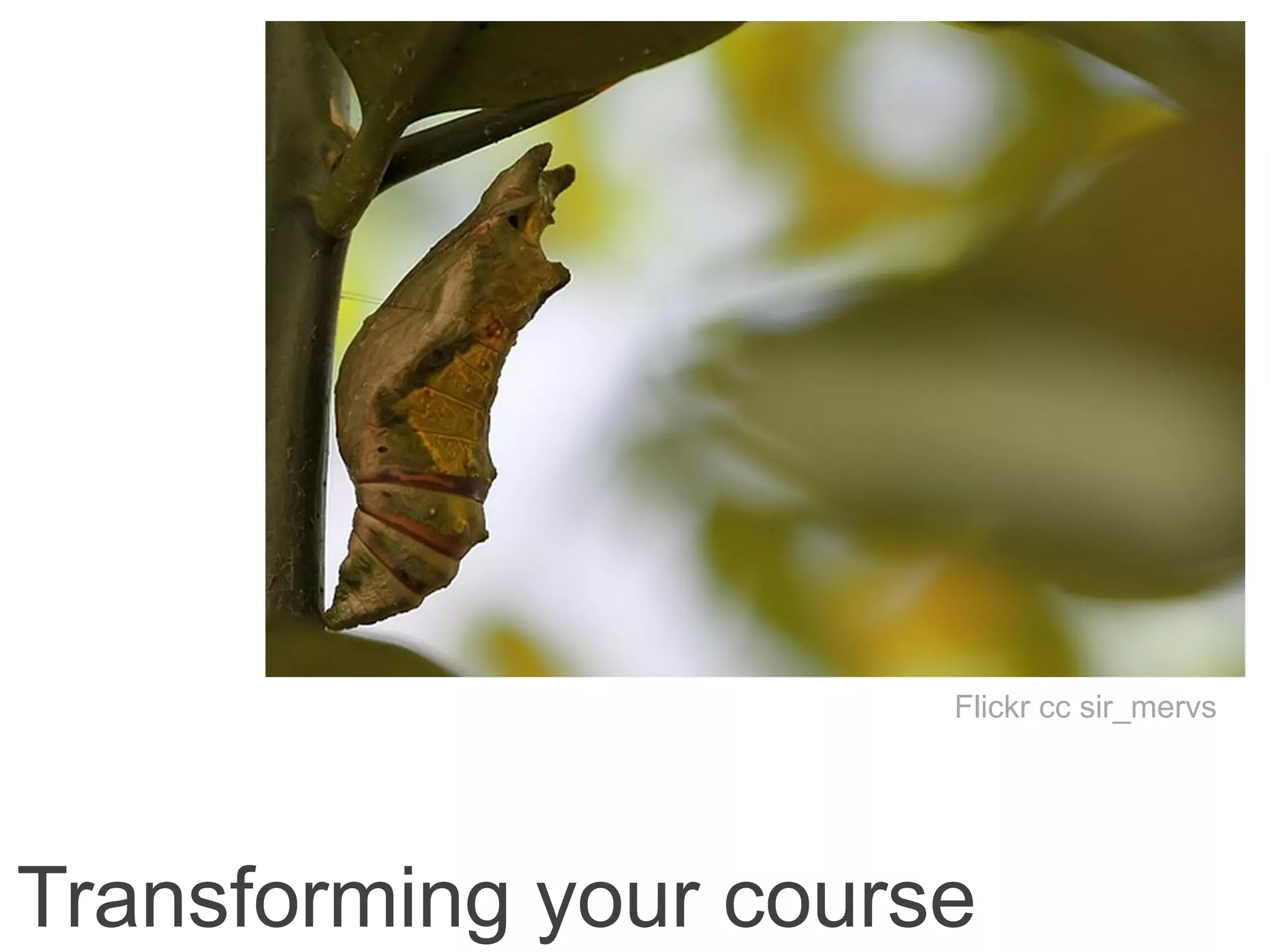 Transforming your course
Flickr cc sir_mervs
 