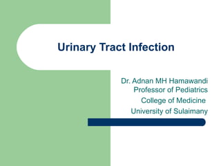 Urinary Tract Infection Dr. Adnan MH Hamawandi  Professor of Pediatrics  College of Medicine  University of Sulaimany  