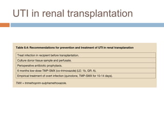 UTI in renal transplantation
 