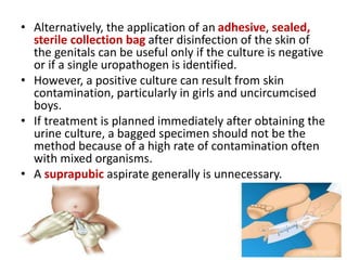 • Alternatively, the application of an adhesive, sealed,
sterile collection bag after disinfection of the skin of
the genitals can be useful only if the culture is negative
or if a single uropathogen is identified.
• However, a positive culture can result from skin
contamination, particularly in girls and uncircumcised
boys.
• If treatment is planned immediately after obtaining the
urine culture, a bagged specimen should not be the
method because of a high rate of contamination often
with mixed organisms.
• A suprapubic aspirate generally is unnecessary.
 