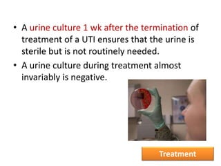 • A urine culture 1 wk after the termination of
treatment of a UTI ensures that the urine is
sterile but is not routinely needed.
• A urine culture during treatment almost
invariably is negative.
Treatment
 