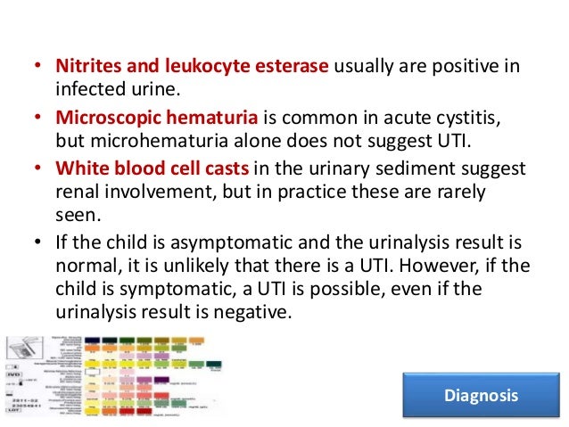 • Prompt plating of the urine sample for culture is important, because if the urine sits at room temperature for more than...