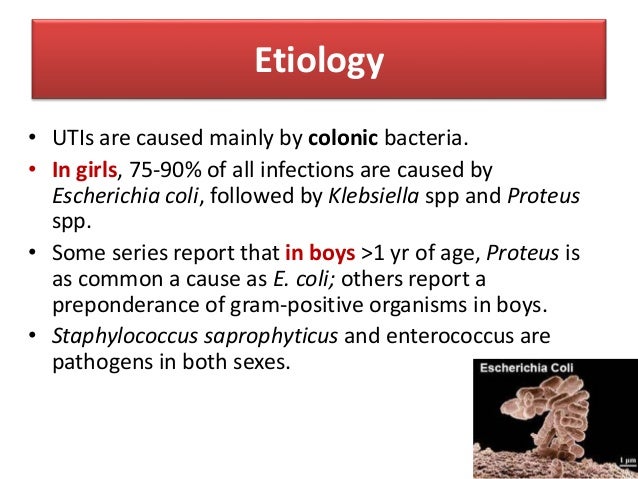 Reports on urinary infections