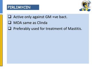  Active only against GM +ve bact.
 MOA same as Clinda
 Preferably used for treatment of Mastitis.
PIRLIMYCIN
 