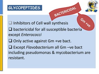  Inhibitors of Cell wall synthesis
 bactericidal for all susceptible bacteria
except Enterococci
 Only active against Gm +ve bact.
 Except Flavobacterium all Gm –ve bact
including pseudomonas & mycobacterium are
resistant.
GLYCOPEPTIDES
 