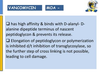  has high affinity & binds with D-alanyl- D-
alanine dipeptide terminus of nascent
peptidoglycon & prevents its release.
 Elongation of peptidoglycon or polymerization
is inhibited d/t inhibition of transglycosylase, so
the further step of cross linking is not possible,
leading to cell damage.
MOA -VANCOMYCIN
 