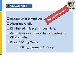  Its first Lincosamide AB
 Absorbed Orally
 Eliminated in faeces through bile.
 Colitis is more common in comparison to
Clindamycin.
 Dose: 500 mg Orally
600 mg (iv/im) 6-8 hourly
LINCOMYCIN
 