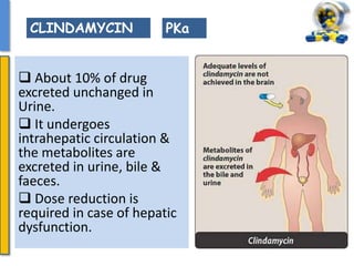  About 10% of drug
excreted unchanged in
Urine.
 It undergoes
intrahepatic circulation &
the metabolites are
excreted in urine, bile &
faeces.
 Dose reduction is
required in case of hepatic
dysfunction.
PKaCLINDAMYCIN
 