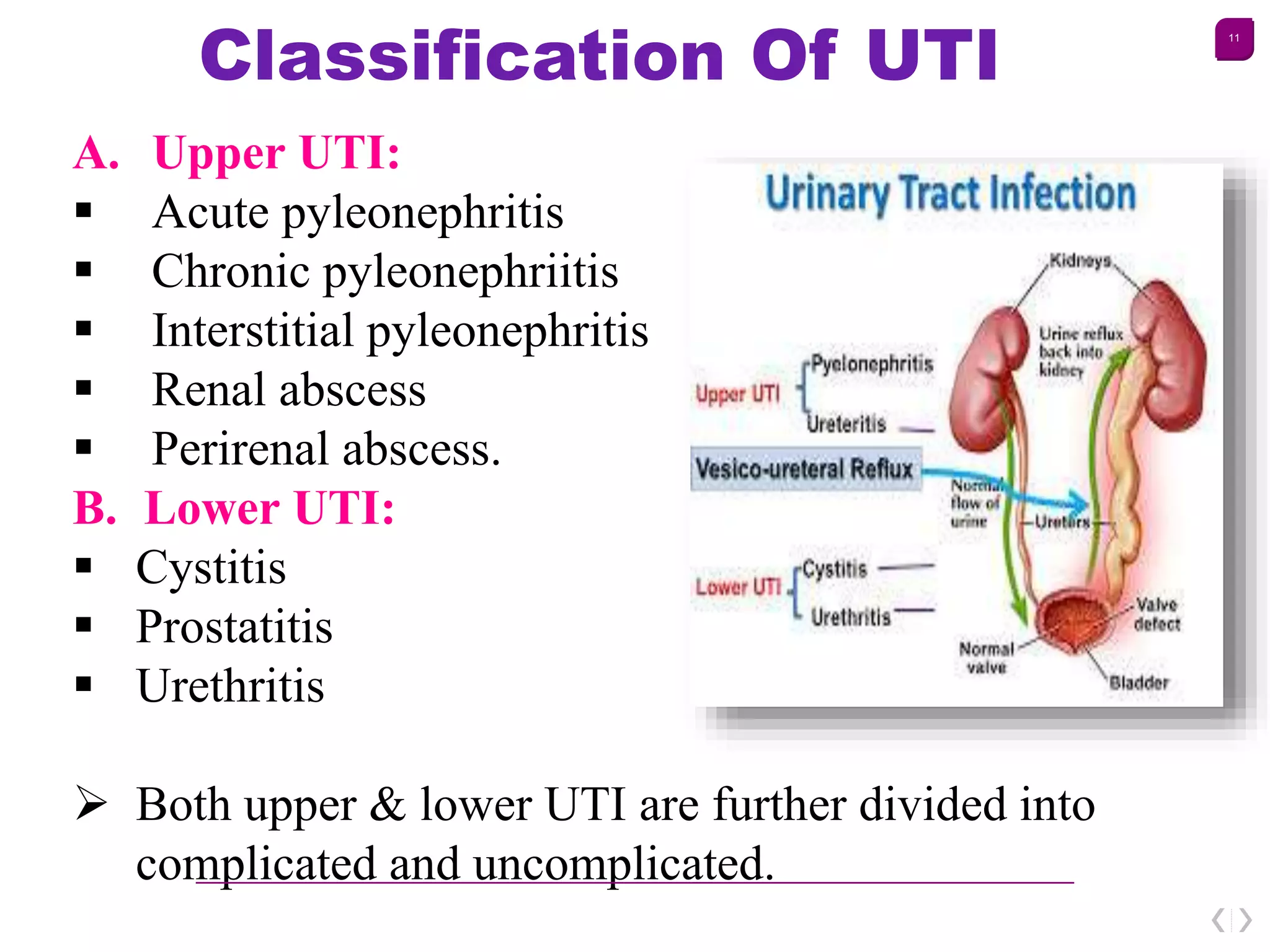 Urinary Tract Infections | PPTX